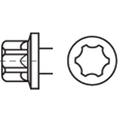 Harici Torx Ba� 